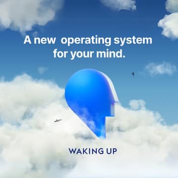 Waking Up: Meditation & Wisdom