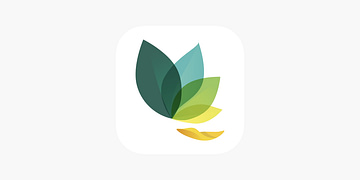 Oak: Meditation & Breathwork Simplified